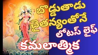 బొడ్డుతాడు చైతన్యంలోనే లోటస్ లైఫ్.. కమలాత్మిక #telugu #dasamahavidya