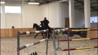 2011 Hannoverian gelding  Schooling  Future hunter or eq horse  FOR SALE