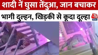 Lucknow में शादी समारोह में घुसा तेंदुआ, जान बचाकर भागा दुल्हा | Viral Video | Aaj Tak Hindi News