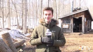 QTV Kingston: Maple Madness