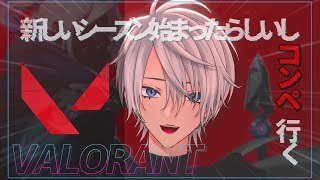 【VALORANT】新season始まったけど、テホ終わってる【#新人Vtuber】