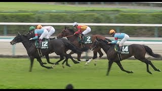 2019.3.30.    【現地撮影】第51回ダービー卿チャレンジトロフィー  ~第3回中山競馬3日目 第9・第10競走も含む~