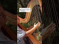 Je te laisserai de mots | Harp Cover | Patrick Watson