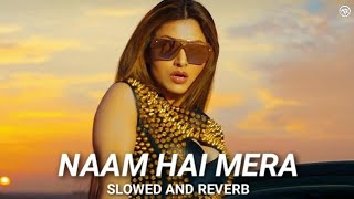 Naam Hai Mera (Slowed And Reverb) | Hate Story IV | Urvashi Rautela | Neeti Mohan