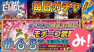 【白猫プロジェクト】第65回 毎日ガチャ！フォースター☆プロジェクトコンツェルトガチャ！