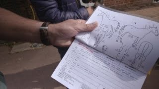 What? Horses need passports?
