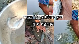 পুকুর থেকে কত মাছ ধরলাম 😇//দেশের বাড়ির পুকুরের মাছ😇//2022