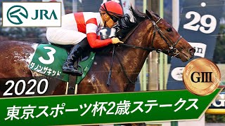 2020年 東京スポーツ杯2歳ステークス（GⅢ） | ダノンザキッド | JRA公式