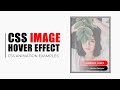 Image Hover Text Overlay Effect with HTML & CSS | CSS Animation Examples