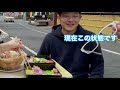 【あつみ温泉】家族で花見・弁当・ビール！オススメ桜スポットかじか通り。【山形県鶴岡市】