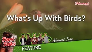 鳥類新知 | What’s Up With Birds? (Feature)