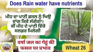 Does Rain water contain nutrients, ਮੀਹ ਦੇ ਪਾਣੀ ਦੇ ਫ਼ਸਲ ਨੂੰ ਫਾਇਦੇ