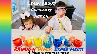 EASY DIY Rainbow Walk Science Experiment for Kids! Learn about Capillary Action!