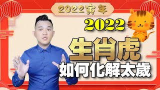 2022年 | 十二生肖 | 屬虎值太歲 | 如何化解 | 詳細解說 | 壬寅年十二生肖運勢大全