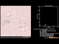 A Non Earth directed CME at 2015-05-02 12:24:00 UTC