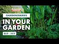 Gardening in July | QLD | Bunnings Garden Diary