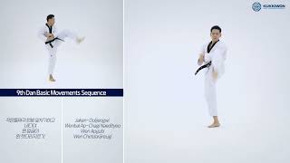 9th Dan Basic Movements Sequence