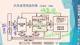 【教甄/資】認知取向的學習理論-訊息處理理論--劉玥老師