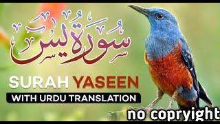 surah al yaseen with urdu translation full HD Arabic text سورة یاسن सूरह यासीन हिन्उर्दू में।