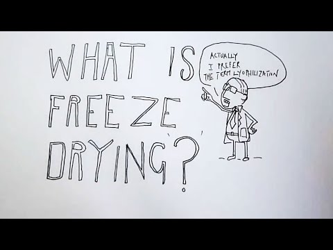 How was freeze drying discovered?