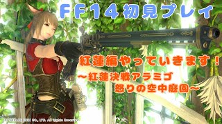 【FF14】ガチ初心者のゲーム下手が初見プレイ80【マサムネ鯖】