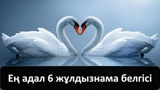 Ең адал 6 жұлдызнама белгісі