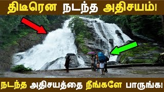 திடீரென நடந்த அதிசயம்! நடந்த அதிசயத்தை நீங்களே பாருங்க! | Tamil News | Tamil Seithigal