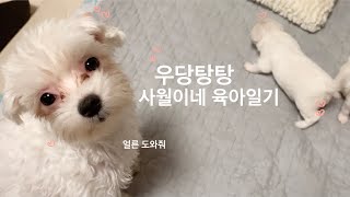 사월이네 육아일기 | 육아는 힘들어