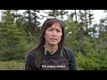 write for rights 2024 wet’suwet’en nation land defenders canada