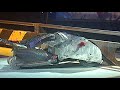 Robot Wars - Best Moments Ever [1998 - 2017]