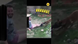 Top 10 funny Haywire #shorts#funny#YTshorts #ytshorts#freegiftcards #viral #memes #fails #failarmy