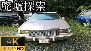 【ピンクの草ヒロ】#20 『キャデラックの廃車』《廃墟探索4Ｋ　~ruins~》