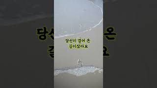 나이가 어리다고 얕잡아 보지 마세요/ 짧은 명언/ 인생 조언 / 좋은 말씀  지혜 충고 삶의 지혜 철학 명언