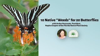 10 Native ‘Weeds’ for 20 Butterflies with Andee Naccarato