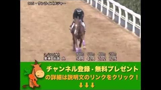 ダービー卿チャレンジトロフィー（GIII） サンライズメジャー調教動画　「競馬レース結果ハイライト」2016年