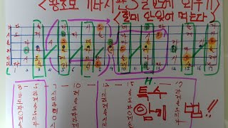 📮기타지판 하루만에 완벽하게외우는 특수암기법📮한번해보면 평생 기억한다🆘️왕초보도 하루면 쉽게 외운다🆘️🆘️