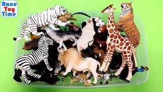 Lots of Safari Ltd Animal Toy Figurines