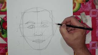 Dibujar un rostro de frente,método loomis
