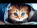 تصميم قطط على اغنية ميو المشهورة🐱🎶🐈🎵