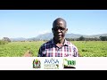 DR CHRISTOPHER  OJIEWO(PARTINERSHIPS AND SEED SYSTEM LEAD  AVISA PROJECT,CIMMYT