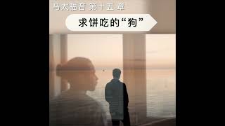 迦南妇人的信心 -读经分享