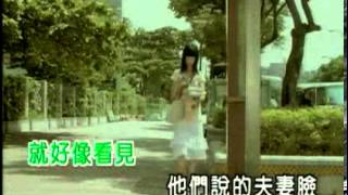 游鴻明&彭佳慧-夫妻臉 KTV