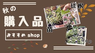 《おすすめshopでお買い物！》秋に植えたい宿根草＆球根類／寄せ植えに使える素材／マニアック！？宿根草／グリーンギャラリーガーデンズ