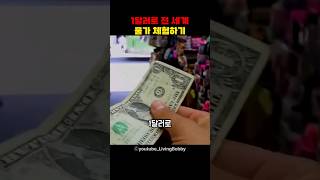 1달러로 전 세계 물가 체험하기