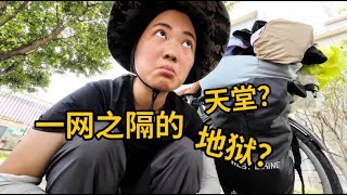 在缅北电诈园区旁边生活是什么体验？今天买到牛肝菌了，狠狠展示厨艺。#骑行  #一人两猫骑行云南