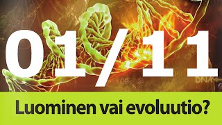 Luominen ja evoluutio, 1/11, uskoontulo ja evoluution hylkääminen