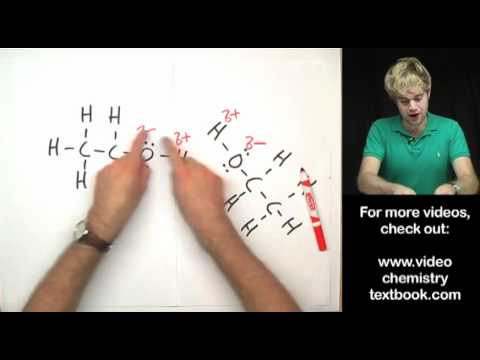 Can ammonia form hydrogen bonds with water?