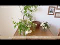 room tour living alone ｜ scandinavian interior and room decorated with flowers ｜ natural antique