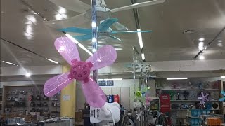 Portable fans at Robinson's appliances