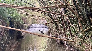 COLOMBIA Urban River Walk